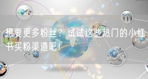 想要更多粉丝？试试这些热门的小红书买粉渠道吧！