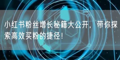 小红书粉丝增长秘籍大公开，带你探索高效买粉的捷径！