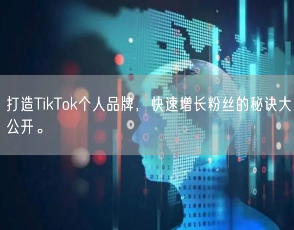 打造TikTok个人品牌，快速增长粉丝的秘诀大公开。